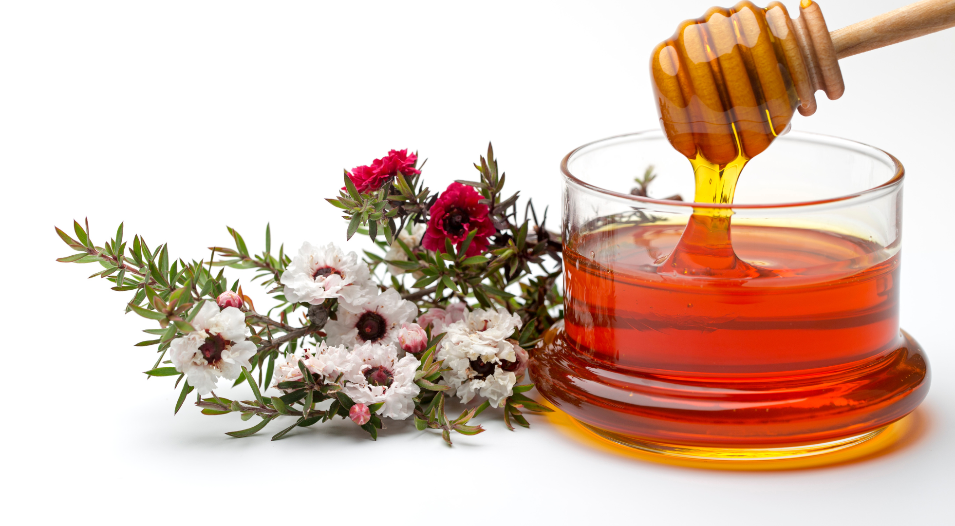 Manuka blomster og honning