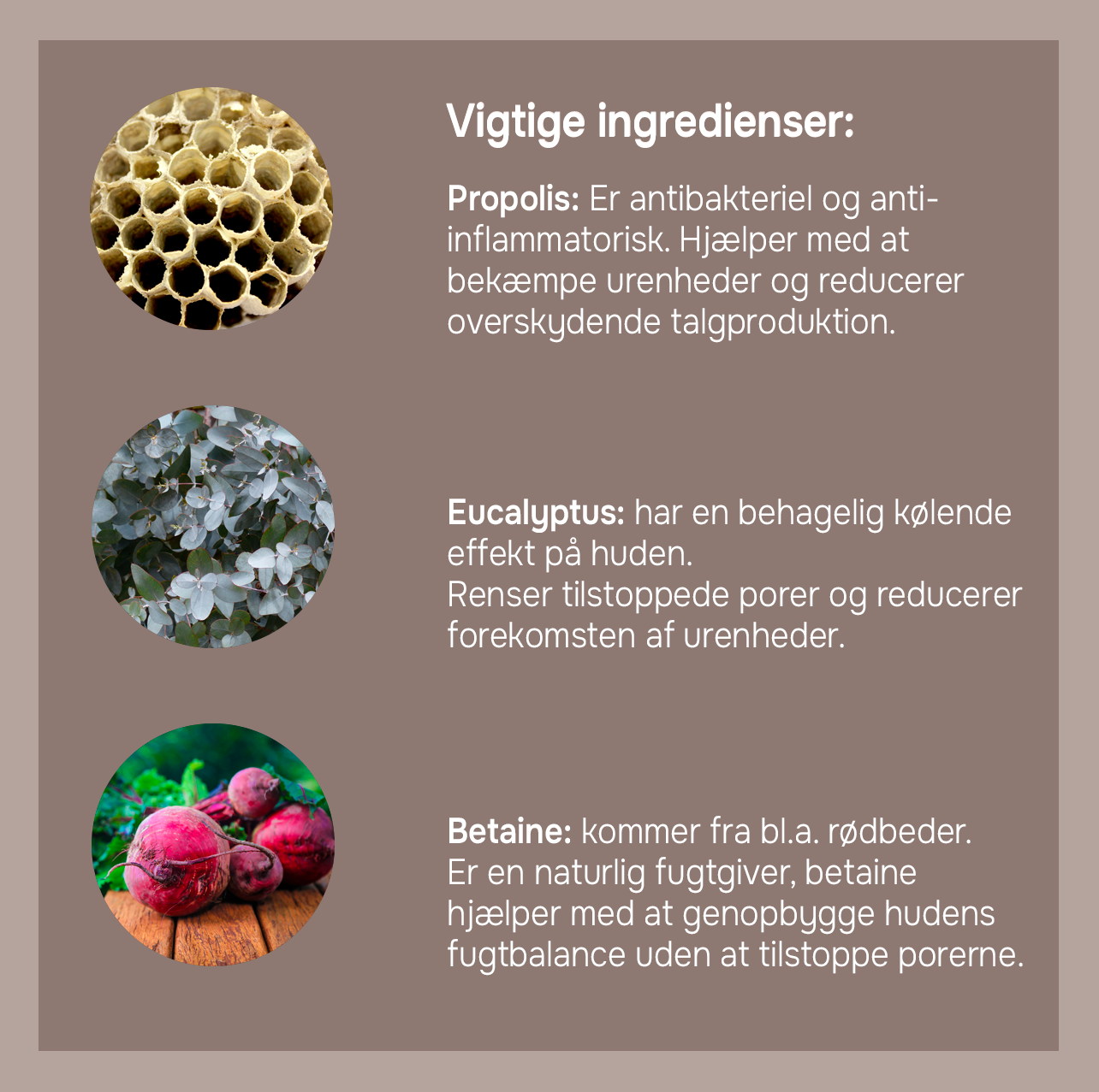 CERA di CUPRA, Fugtighedcreme med propolis og eucalyptus, til fedtet hud, krukke, 50 ml