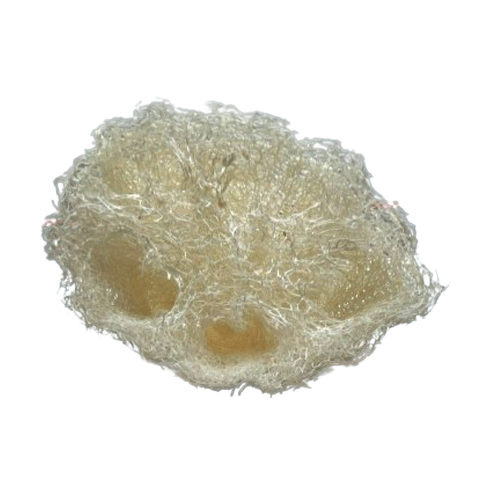 Loofah esfolierende svamp - vegansk